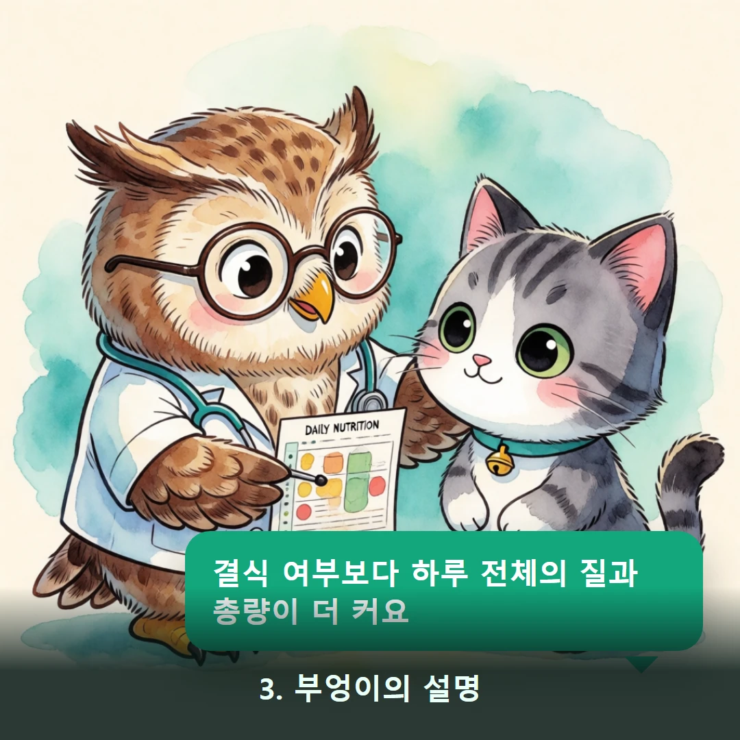 웹툰 3컷 — 3. 부엉이의 설명 (결식 여부보다 하루 전체의 질과 총량이 더 커요)