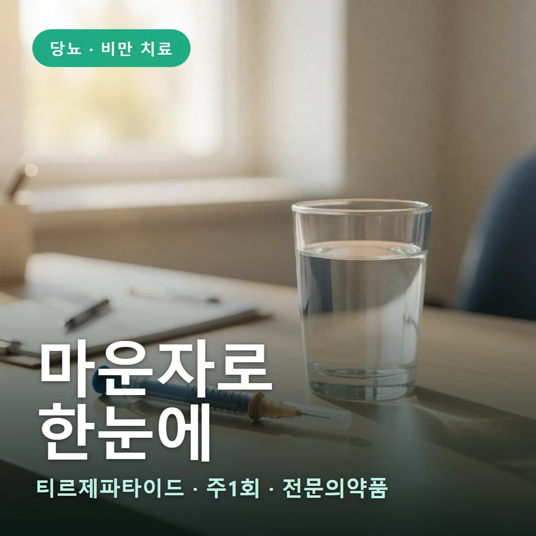 마운자로 요약 표지 — 티르제파타이드 · 주1회 · 전문의약품