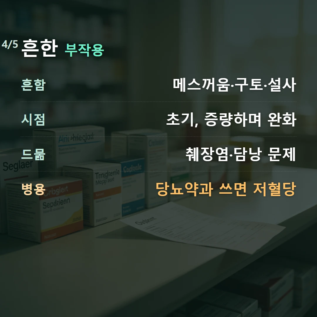 흔한 부작용 — 흔함 메스꺼움·구토·설사, 시점 초기, 증량하며 완화, 드묾 췌장염·담낭 문제, 병용 당뇨약과 쓰면 저혈당