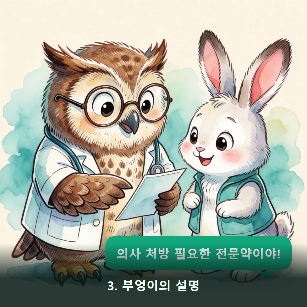 웹툰 3컷 — 3. 부엉이의 설명 (의사 처방 필요한 전문약이야!)