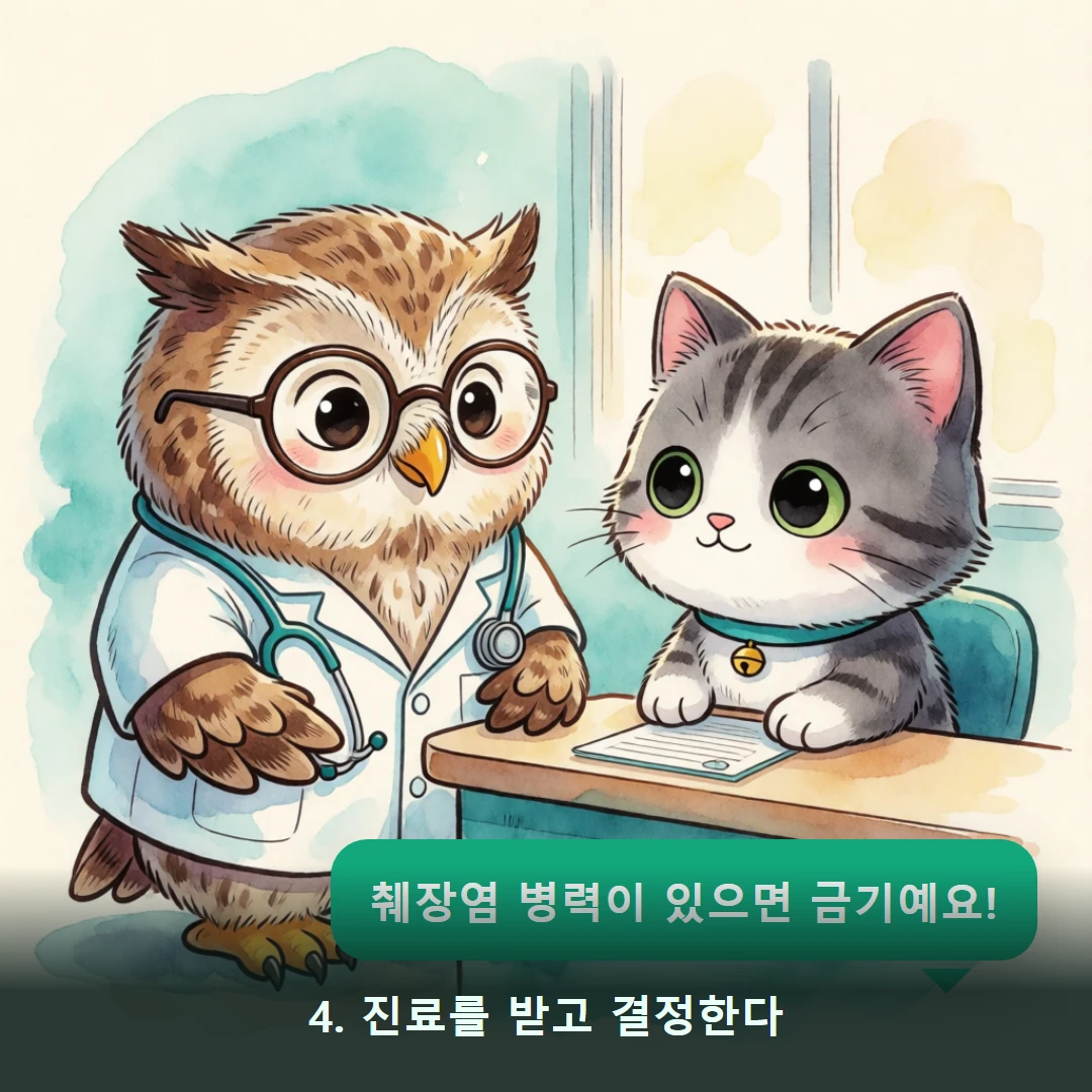 웹툰 4컷 — 4. 진료를 받고 결정한다 (췌장염 병력이 있으면 금기예요!)