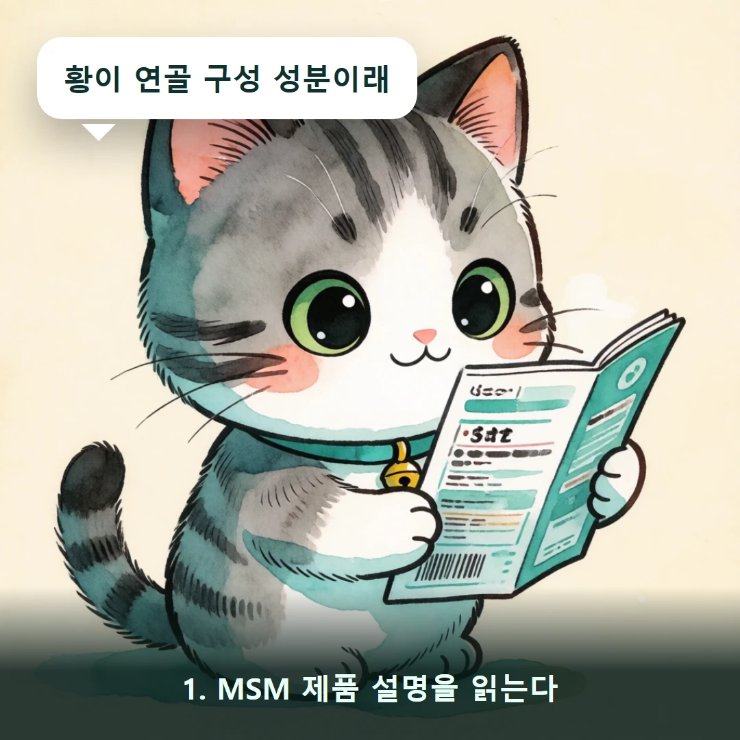 웹툰 1컷 — 1. MSM 제품 설명을 읽는다 (황이 연골 구성 성분이래)