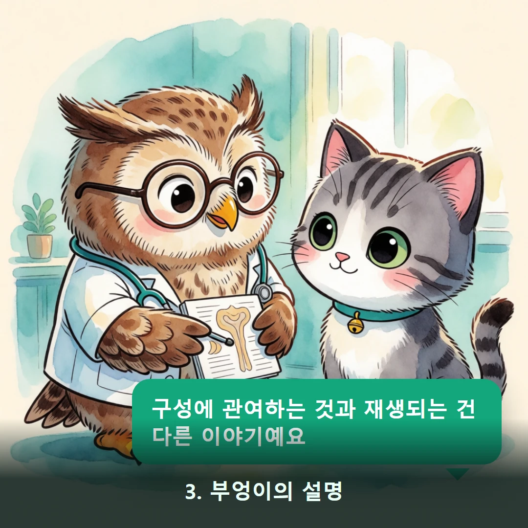 웹툰 3컷 — 3. 부엉이의 설명 (구성에 관여하는 것과 재생되는 건 다른 이야기예요)