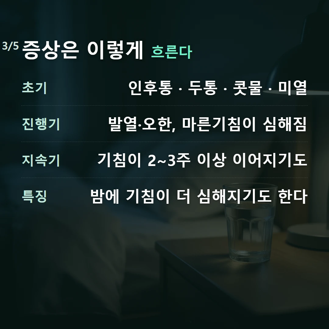 증상은 이렇게 흐른다 — 초기 인후통 · 두통 · 콧물 · 미열, 진행기 발열·오한, 마른기침이 심해짐, 지속기 기침이 2~3주 이상 이어지기도, 특징 밤에 기침이 더 심해지기도 한다