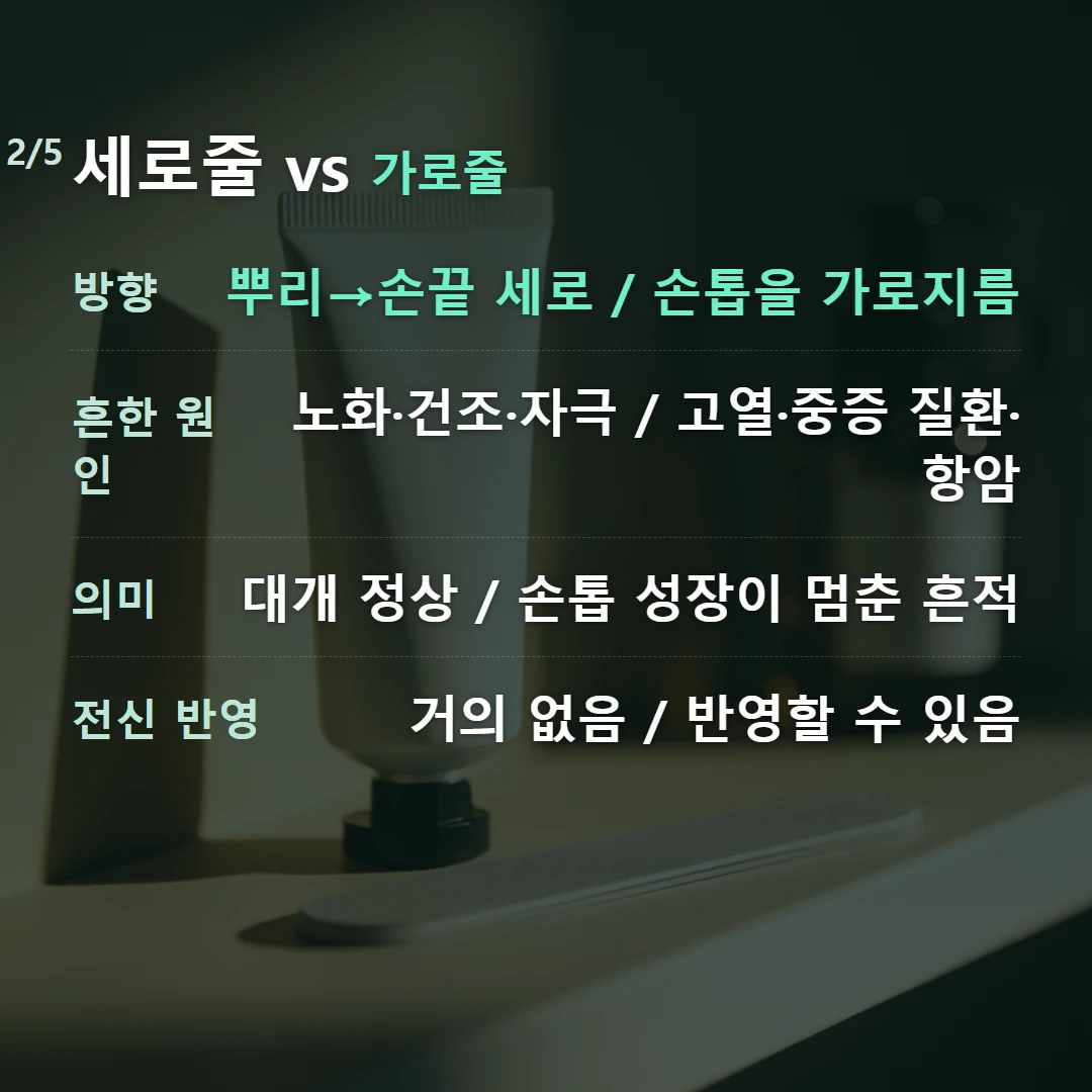 세로줄 vs 가로줄 — 방향 뿌리→손끝 세로 / 손톱을 가로지름, 흔한 원인 노화·건조·자극 / 고열·중증 질환·항암, 의미 대개 정상 / 손톱 성장이 멈춘 흔적, 전신 반영 거의 없음 / 반영할 수 있음