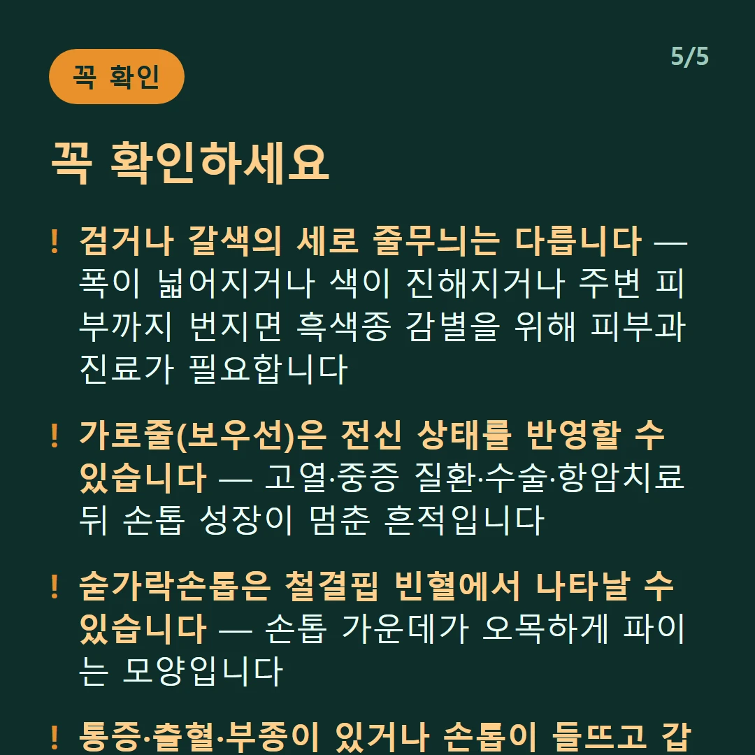 꼭 확인하세요 — 검거나 갈색의 세로 줄무늬는 다릅니다 — 폭이 넓어지거나 색이 진해지거나 주변 피부까지 번지면 흑색종 감별을 위해 피부과 진료가 필요합니다 / 가로줄(보우선)은 전신 상태를 반영할 수 있습니다 — 고열·중증 질환·수술·항암치료 뒤 손톱 성장이 멈춘 흔적입니다 / 숟가락손톱은 철결핍 빈혈에서 나타날 수 있습니다 — 손톱 가운데가 오목하게 파이는 모양입니다 / 통증·출혈·부종이 있거나 손톱이 들뜨고 갑자기 두꺼워지면 진료를 받으세요 — 정상 변화의 범위가 아닙니다