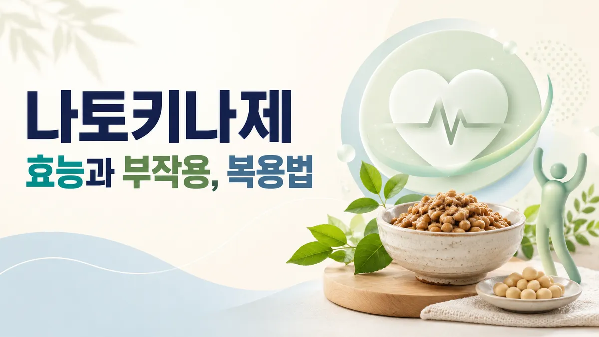나토키나제 효능, 근거와 출혈 위험 어디까지인가