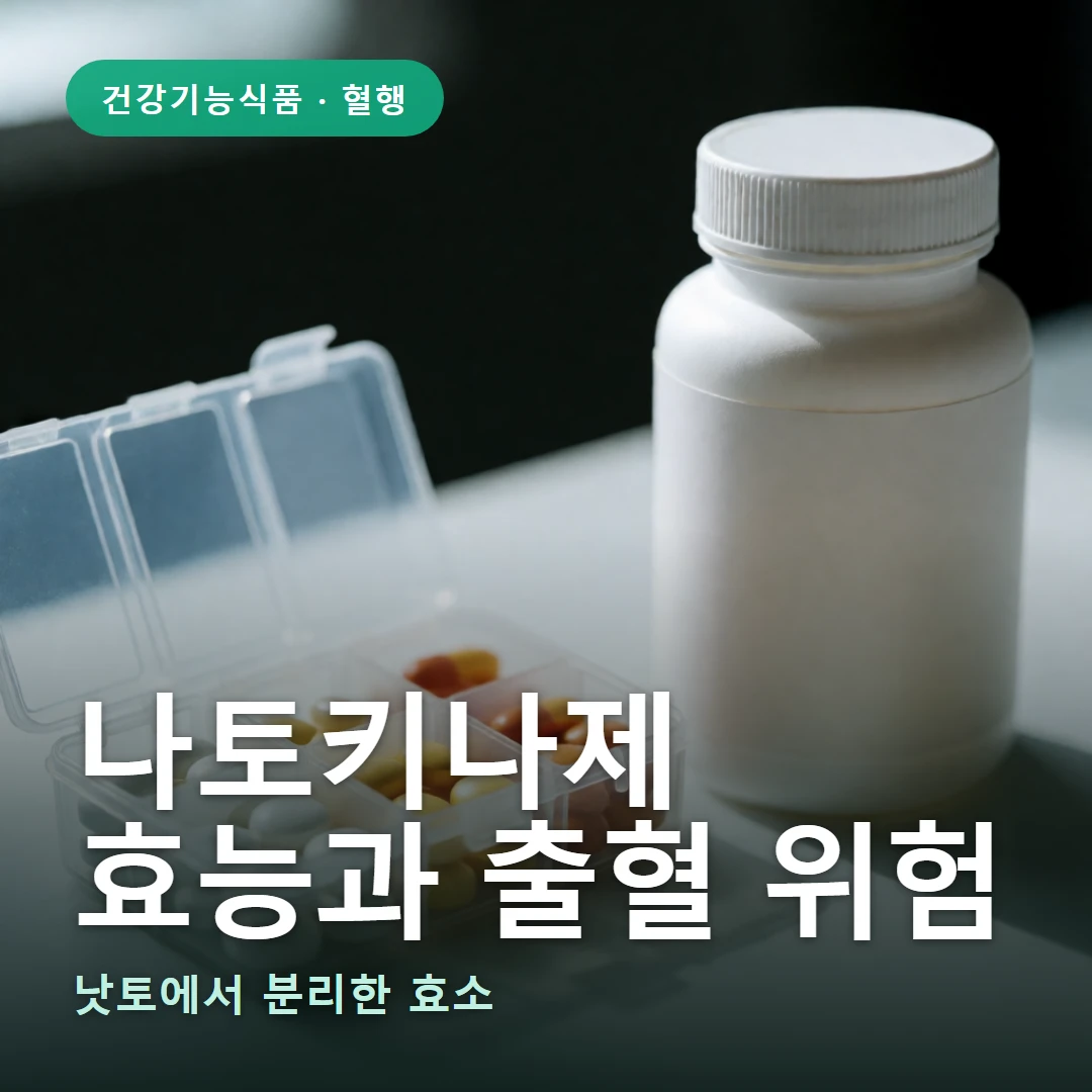 나토키나제 요약 표지 — 낫토에서 분리한 효소