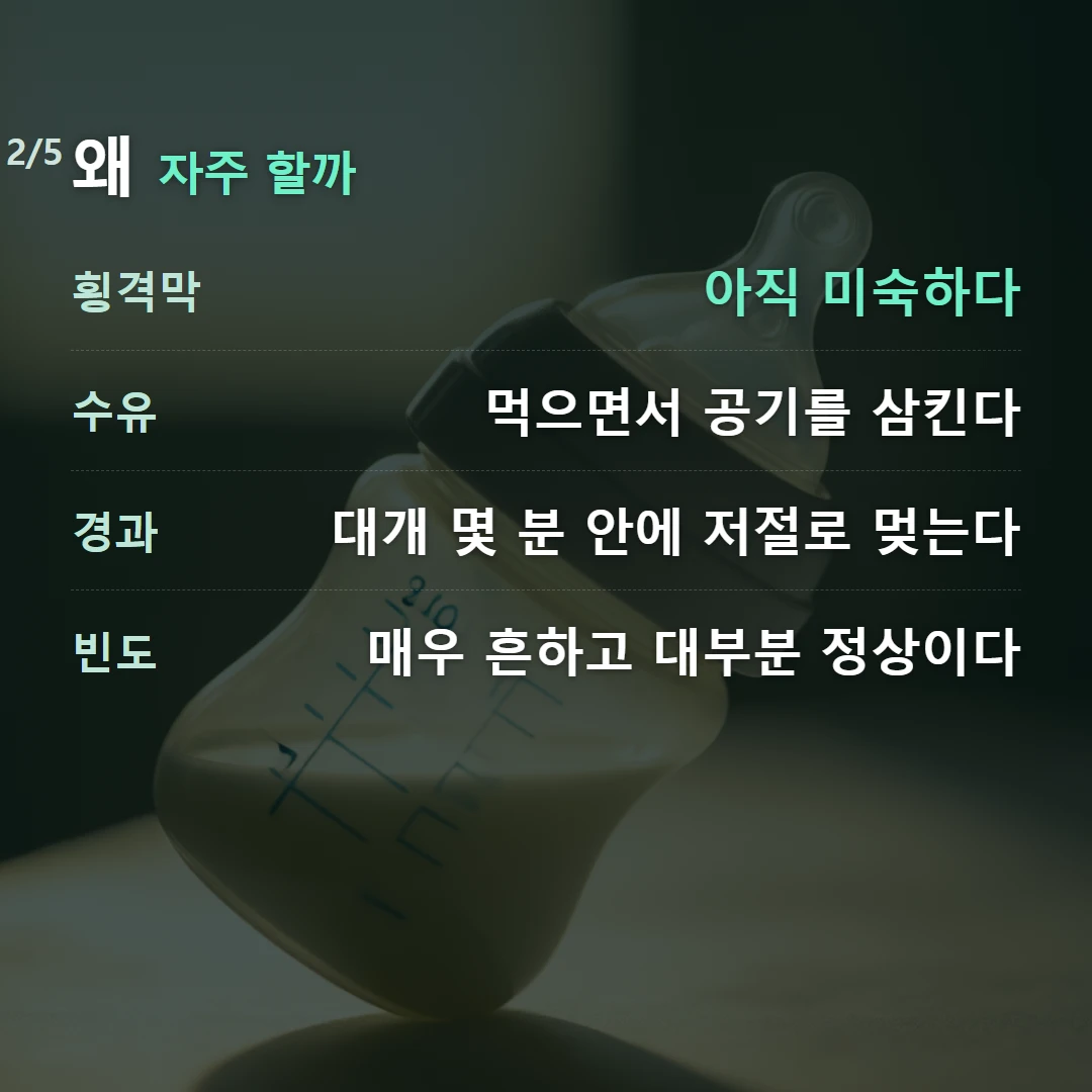 왜 자주 할까 — 횡격막 아직 미숙하다, 수유 먹으면서 공기를 삼킨다, 경과 대개 몇 분 안에 저절로 멎는다, 빈도 매우 흔하고 대부분 정상이다