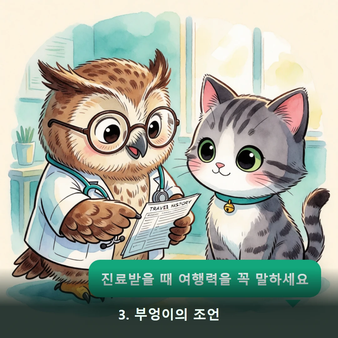 웹툰 3컷 — 3. 부엉이의 조언 (진료받을 때 여행력을 꼭 말하세요)