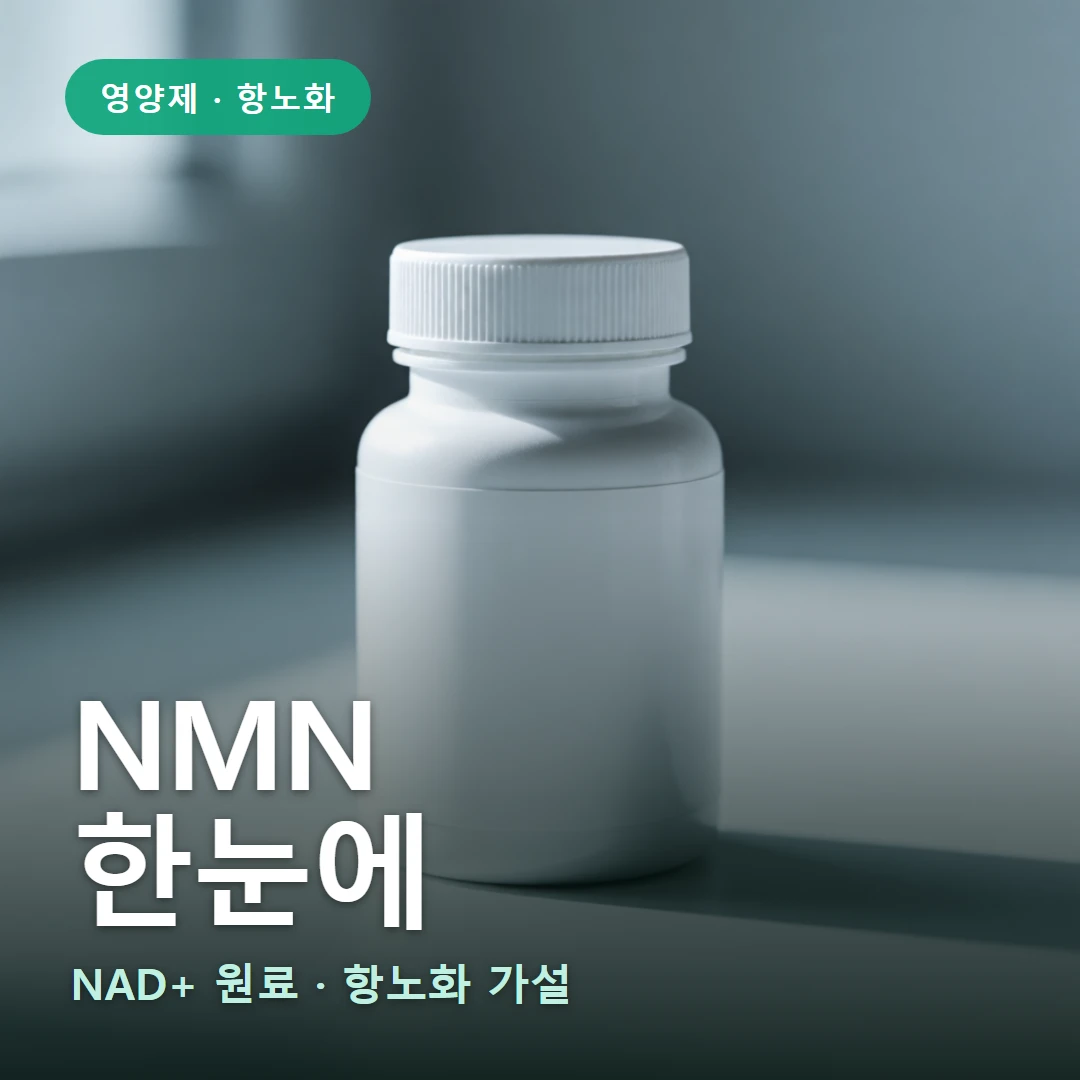 NMN 요약 표지 — NAD+ 원료 · 항노화 가설