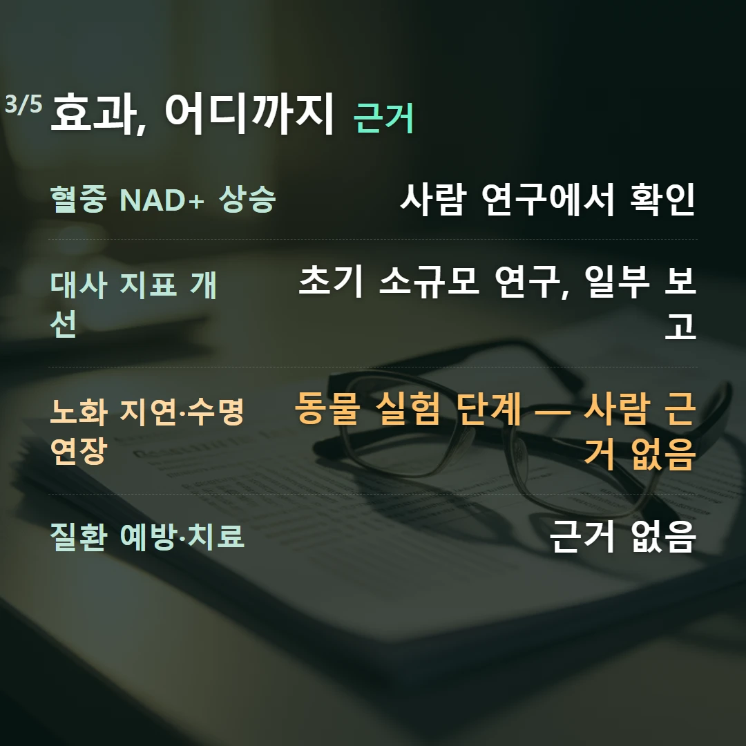 효과, 어디까지 근거 — 혈중 NAD+ 상승 사람 연구에서 확인, 대사 지표 개선 초기 소규모 연구, 일부 보고, 노화 지연·수명 연장 동물 실험 단계 — 사람 근거 없음, 질환 예방·치료 근거 없음