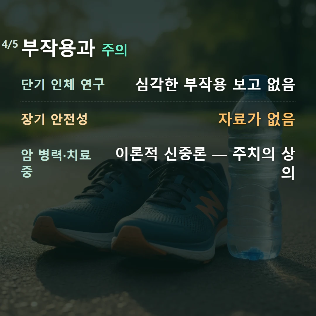 부작용과 주의 — 단기 인체 연구 심각한 부작용 보고 없음, 장기 안전성 자료가 없음, 암 병력·치료 중 이론적 신중론 — 주치의 상의