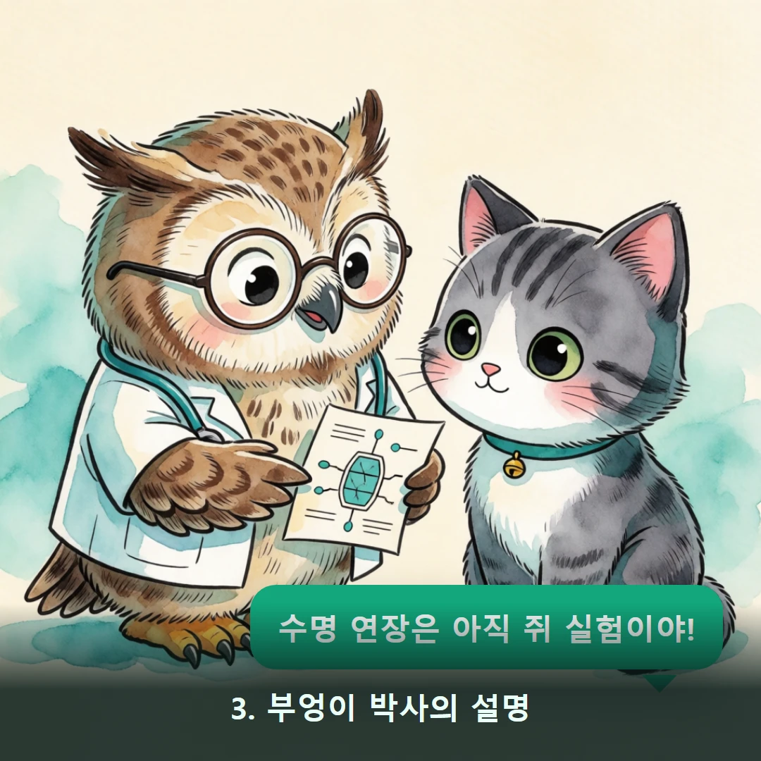 웹툰 3컷 — 3. 부엉이 박사의 설명 (수명 연장은 아직 쥐 실험이야!)