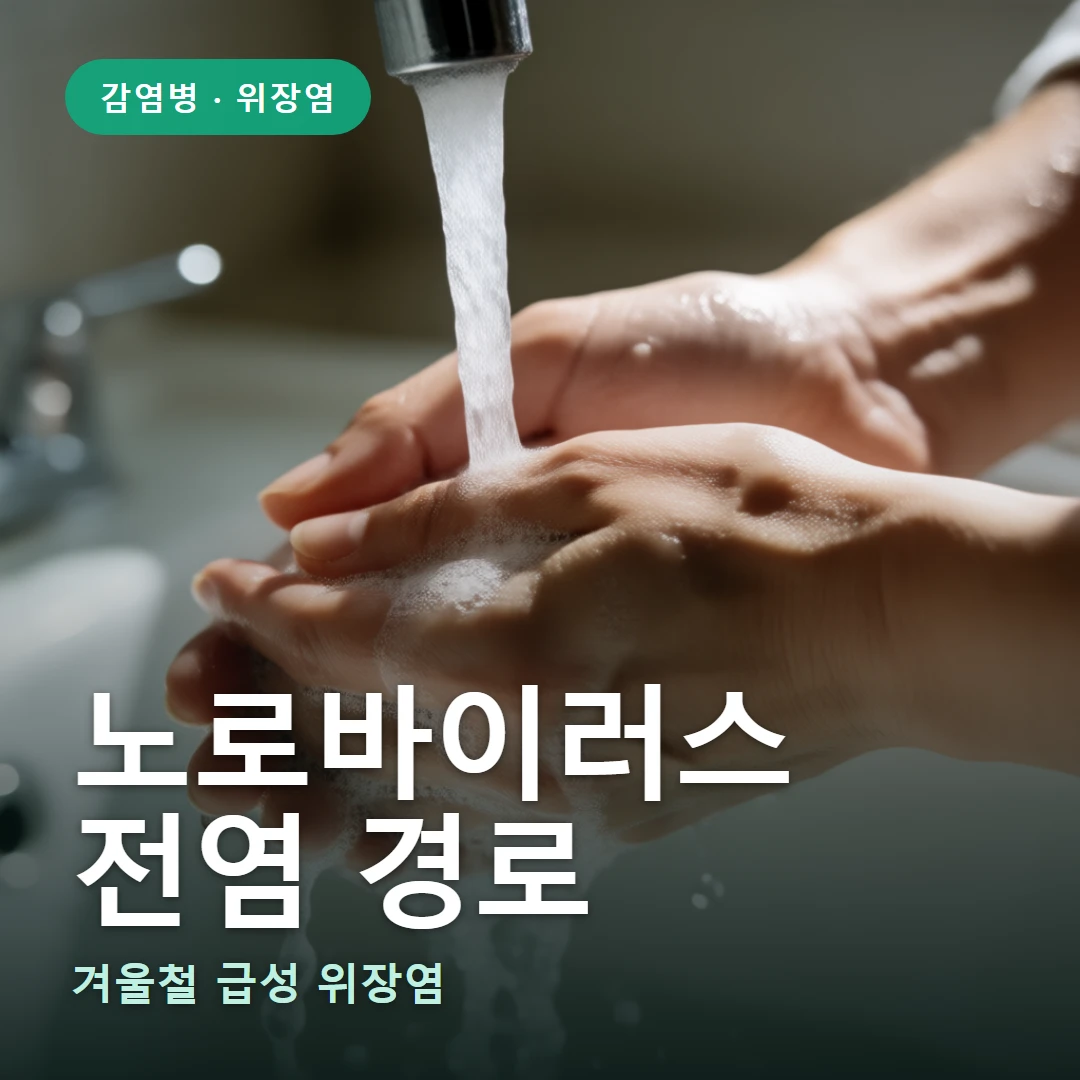 노로바이러스 요약 표지 — 겨울철 급성 위장염