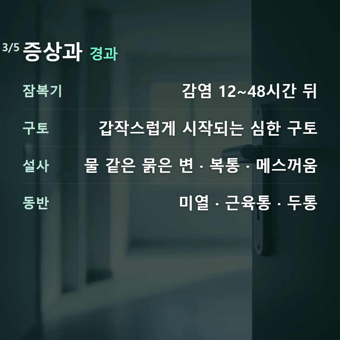 증상과 경과 — 잠복기 감염 12~48시간 뒤, 구토 갑작스럽게 시작되는 심한 구토, 설사 물 같은 묽은 변 · 복통 · 메스꺼움, 동반 미열 · 근육통 · 두통