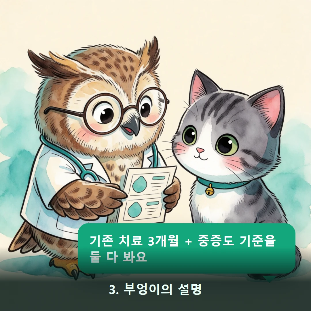 웹툰 3컷 — 3. 부엉이의 설명 (기존 치료 3개월 + 중증도 기준을 둘 다 봐요)