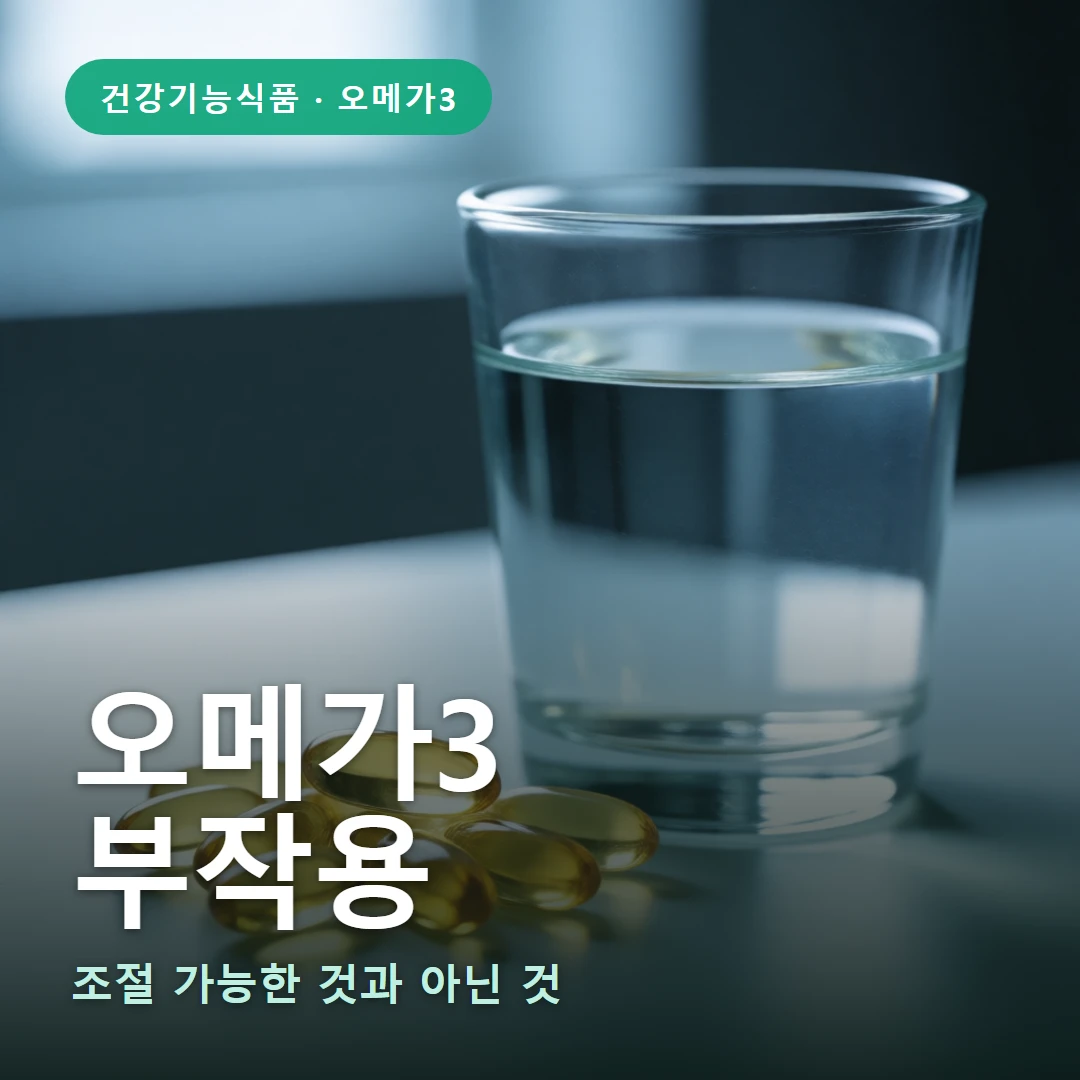 오메가3 부작용 요약 표지 — 조절 가능한 것과 아닌 것