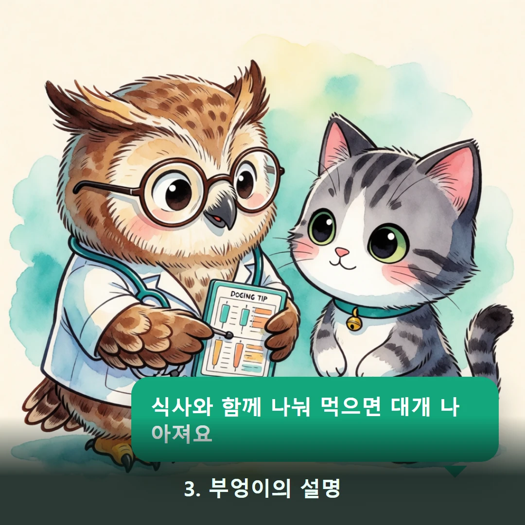 웹툰 3컷 — 3. 부엉이의 설명 (식사와 함께 나눠 먹으면 대개 나아져요)