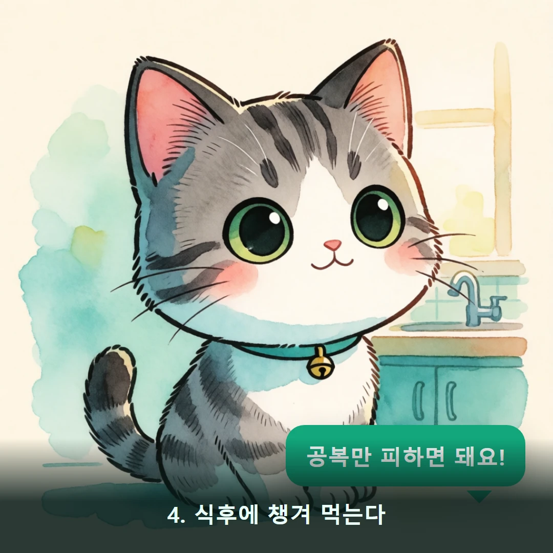 웹툰 4컷 — 4. 식후에 챙겨 먹는다 (공복만 피하면 돼요!)