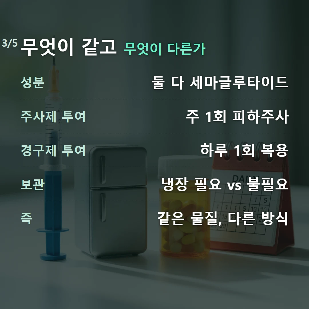 무엇이 같고 무엇이 다른가 — 성분 둘 다 세마글루타이드, 주사제 투여 주 1회 피하주사, 경구제 투여 하루 1회 복용, 보관 냉장 필요 vs 불필요, 즉 같은 물질, 다른 방식