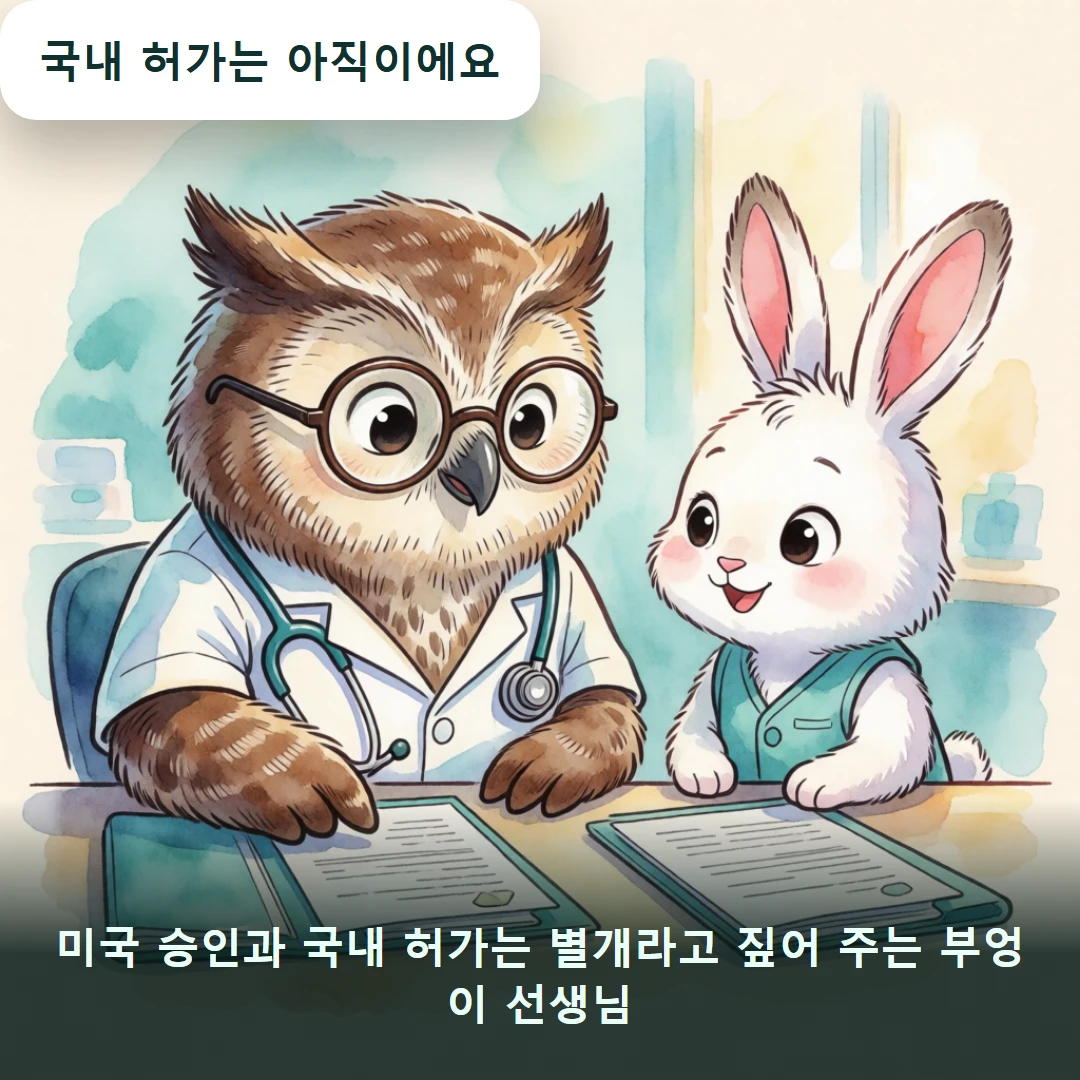 웹툰 2컷 — 미국 승인과 국내 허가는 별개라고 짚어 주는 부엉이 선생님 (국내 허가는 아직이에요)