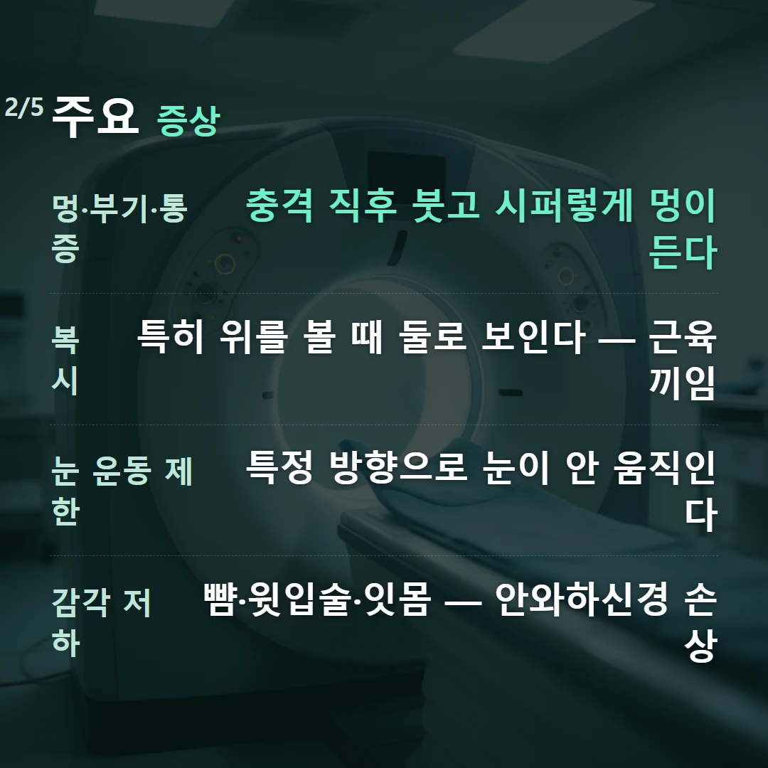 주요 증상 — 멍·부기·통증 충격 직후 붓고 시퍼렇게 멍이 든다, 복시 특히 위를 볼 때 둘로 보인다 — 근육 끼임, 눈 운동 제한 특정 방향으로 눈이 안 움직인다, 감각 저하 뺨·윗입술·잇몸 — 안와하신경 손상