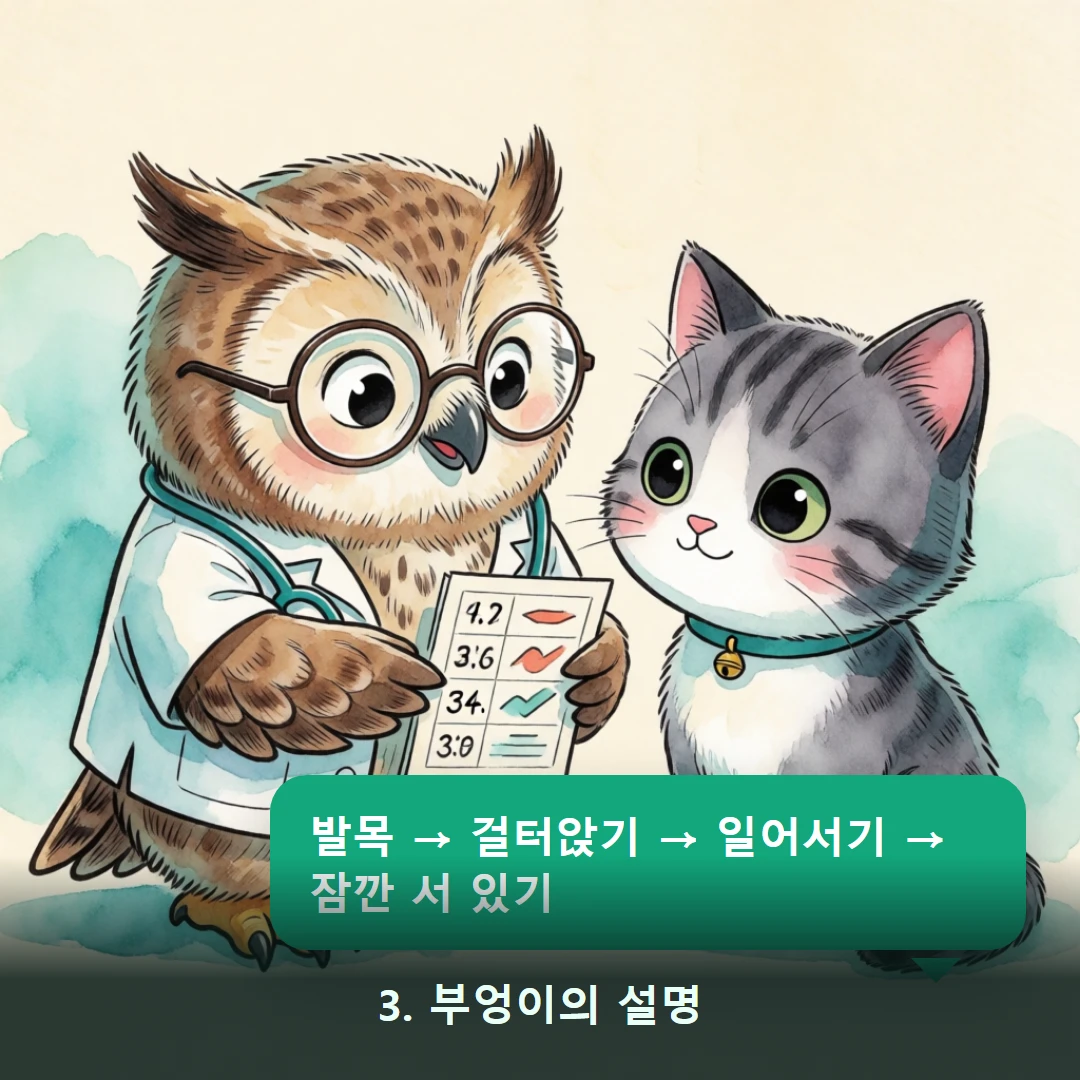 웹툰 3컷 — 3. 부엉이의 설명 (발목 → 걸터앉기 → 일어서기 → 잠깐 서 있기)