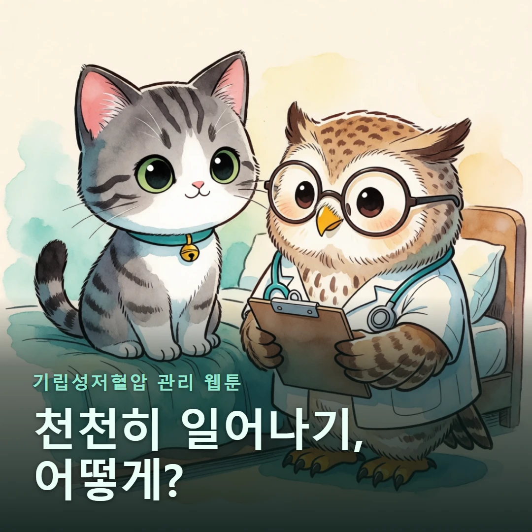 기립성저혈압 관리 웹툰 표지 — 천천히 일어나기, 어떻게?