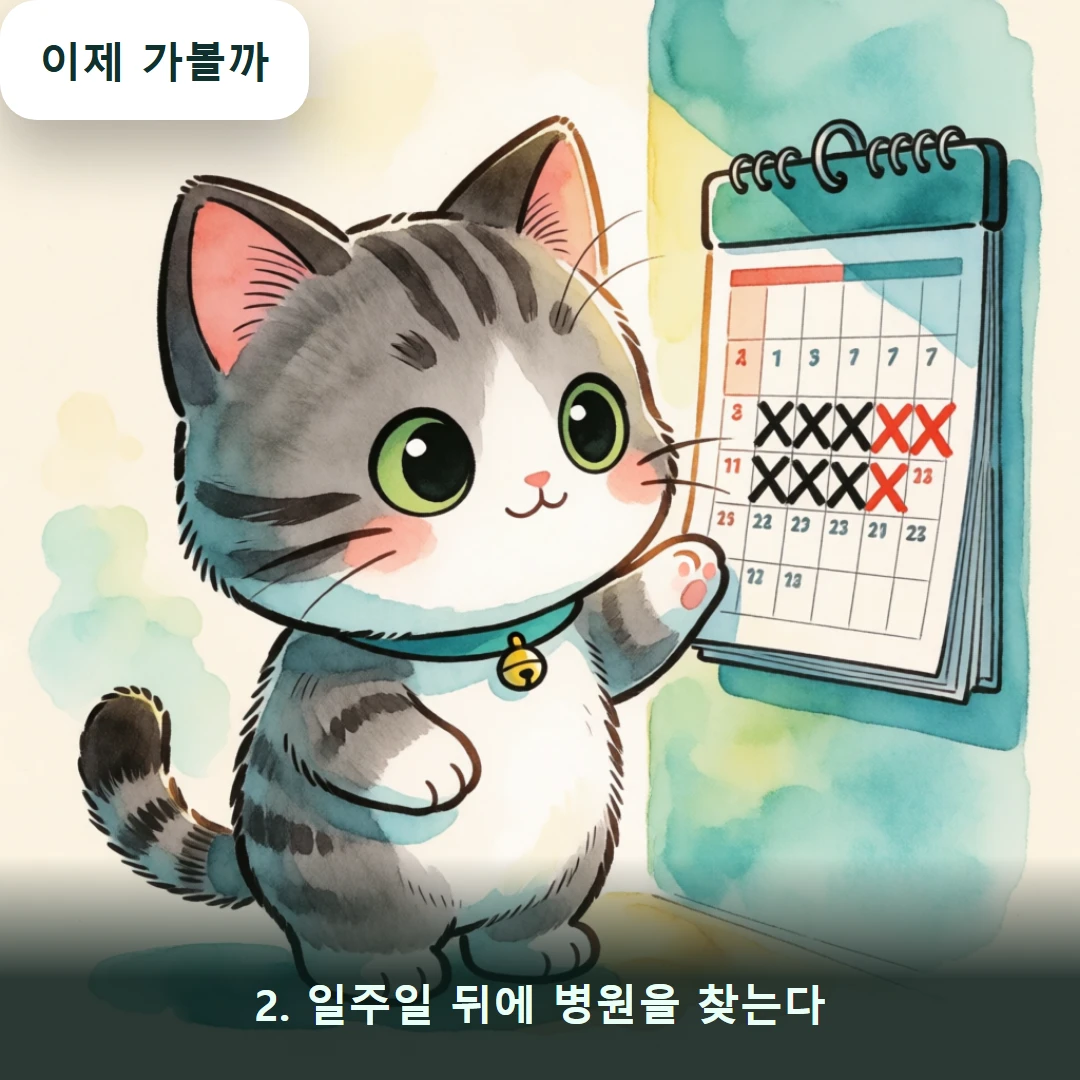 웹툰 2컷 — 2. 일주일 뒤에 병원을 찾는다 (이제 가볼까)