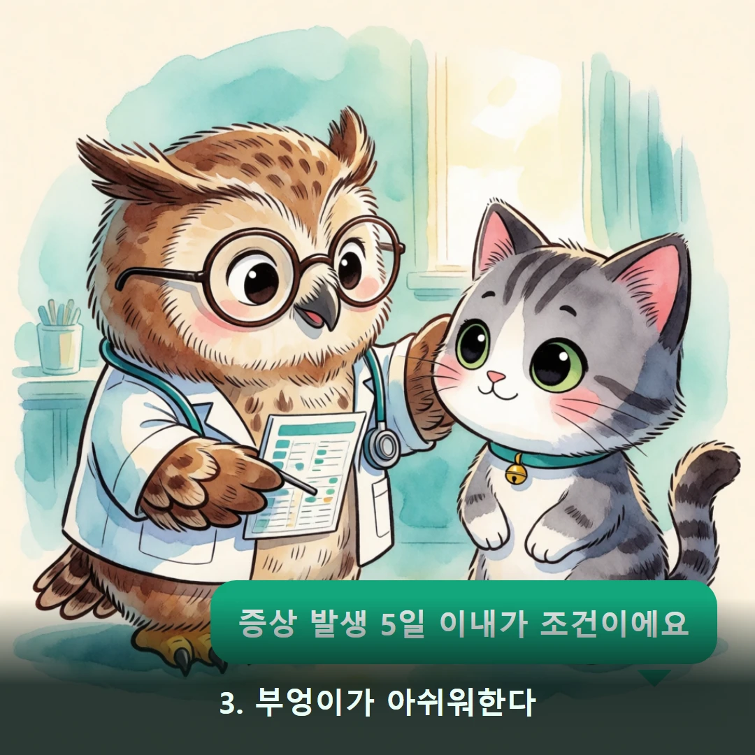 웹툰 3컷 — 3. 부엉이가 아쉬워한다 (증상 발생 5일 이내가 조건이에요)