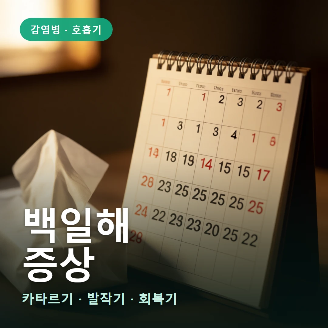 백일해 요약 표지 — 카타르기 · 발작기 · 회복기