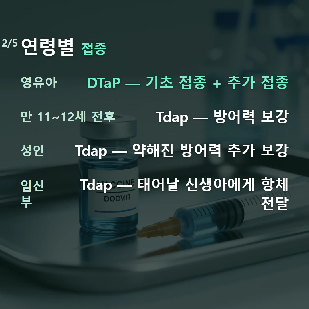 연령별 접종 — 영유아 DTaP — 기초 접종 + 추가 접종, 만 11~12세 전후 Tdap — 방어력 보강, 성인 Tdap — 약해진 방어력 추가 보강, 임신부 Tdap — 태어날 신생아에게 항체 전달