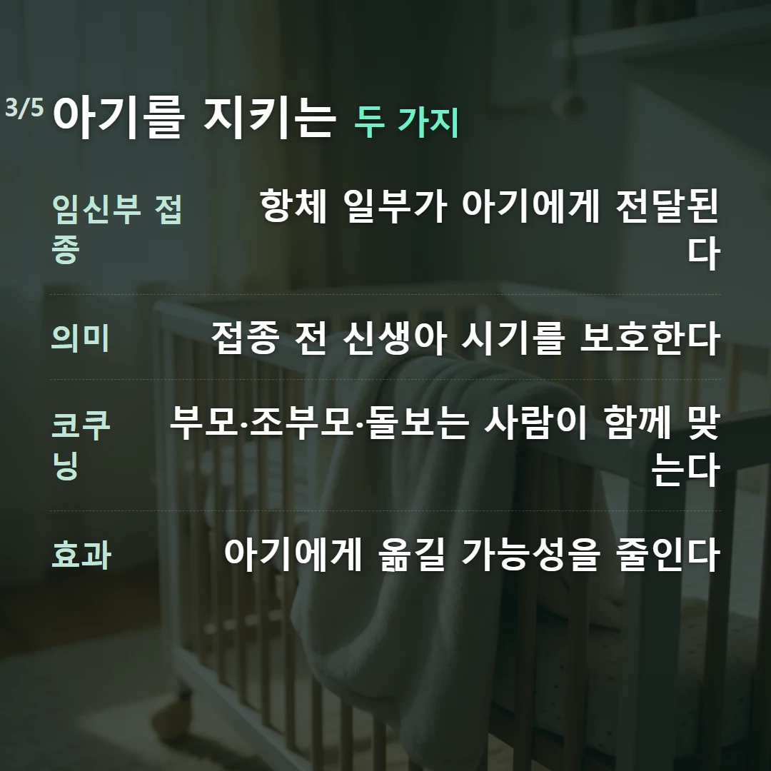 아기를 지키는 두 가지 — 임신부 접종 항체 일부가 아기에게 전달된다, 의미 접종 전 신생아 시기를 보호한다, 코쿠닝 부모·조부모·돌보는 사람이 함께 맞는다, 효과 아기에게 옮길 가능성을 줄인다