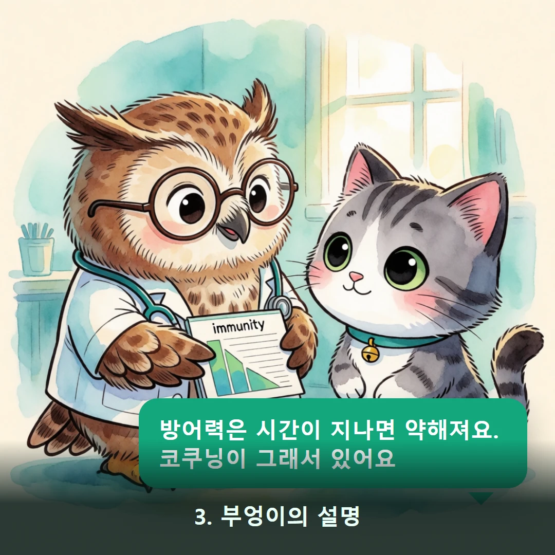 웹툰 3컷 — 3. 부엉이의 설명 (방어력은 시간이 지나면 약해져요. 코쿠닝이 그래서 있어요)