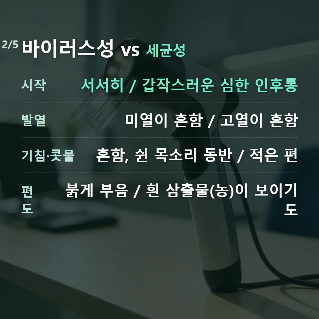 바이러스성 vs 세균성 — 시작 서서히 / 갑작스러운 심한 인후통, 발열 미열이 흔함 / 고열이 흔함, 기침·콧물 흔함, 쉰 목소리 동반 / 적은 편, 편도 붉게 부음 / 흰 삼출물(농)이 보이기도