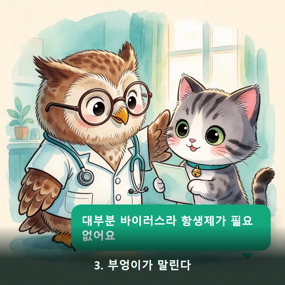 웹툰 3컷 — 3. 부엉이가 말린다 (대부분 바이러스라 항생제가 필요 없어요)