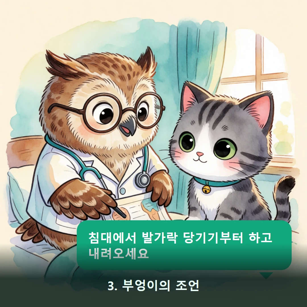 웹툰 3컷 — 3. 부엉이의 조언 (침대에서 발가락 당기기부터 하고 내려오세요)