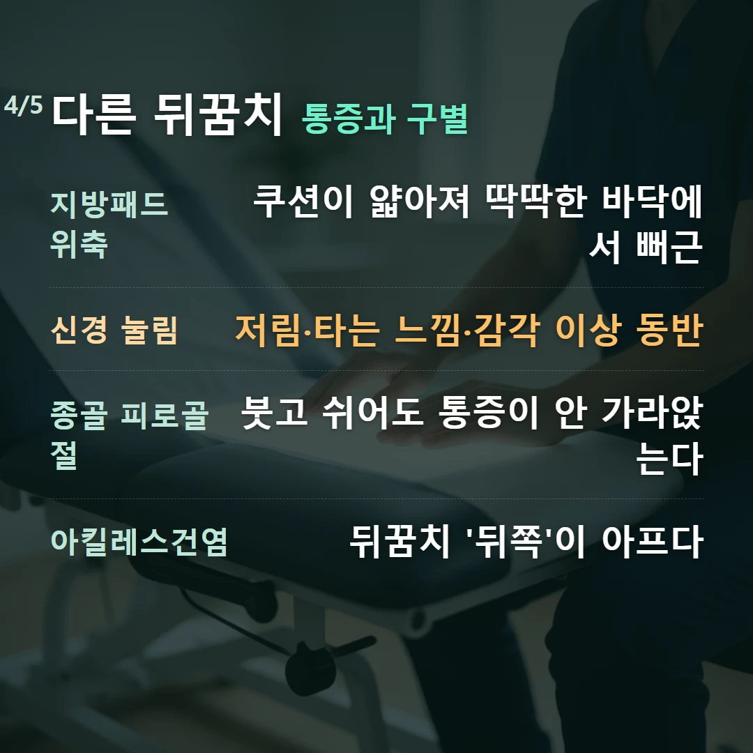 다른 뒤꿈치 통증과 구별 — 지방패드 위축 쿠션이 얇아져 딱딱한 바닥에서 뻐근, 신경 눌림 저림·타는 느낌·감각 이상 동반, 종골 피로골절 붓고 쉬어도 통증이 안 가라앉는다, 아킬레스건염 뒤꿈치 '뒤쪽'이 아프다