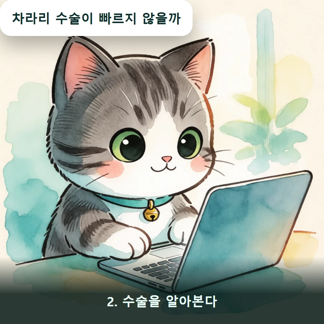 웹툰 2컷 — 2. 수술을 알아본다 (차라리 수술이 빠르지 않을까)