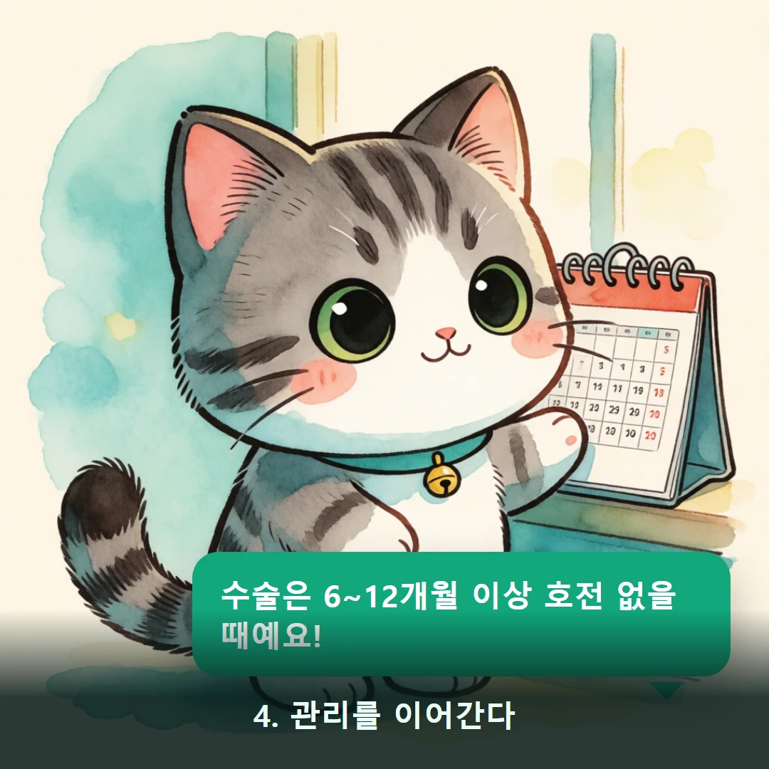 웹툰 4컷 — 4. 관리를 이어간다 (수술은 6~12개월 이상 호전 없을 때예요!)