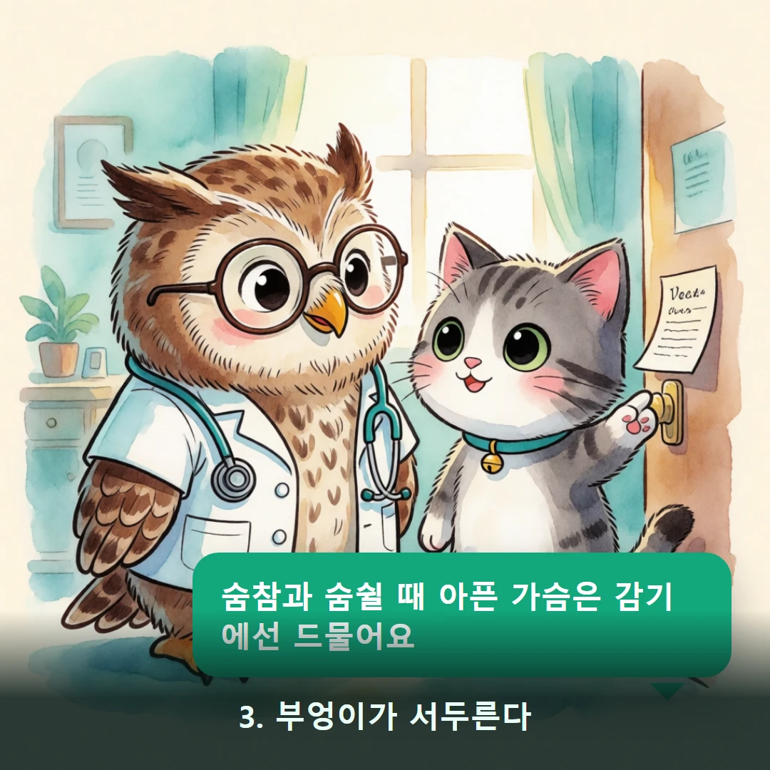 웹툰 3컷 — 3. 부엉이가 서두른다 (숨참과 숨쉴 때 아픈 가슴은 감기에선 드물어요)