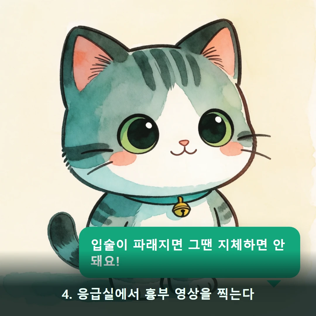 웹툰 4컷 — 4. 응급실에서 흉부 영상을 찍는다 (입술이 파래지면 그땐 지체하면 안 돼요!)