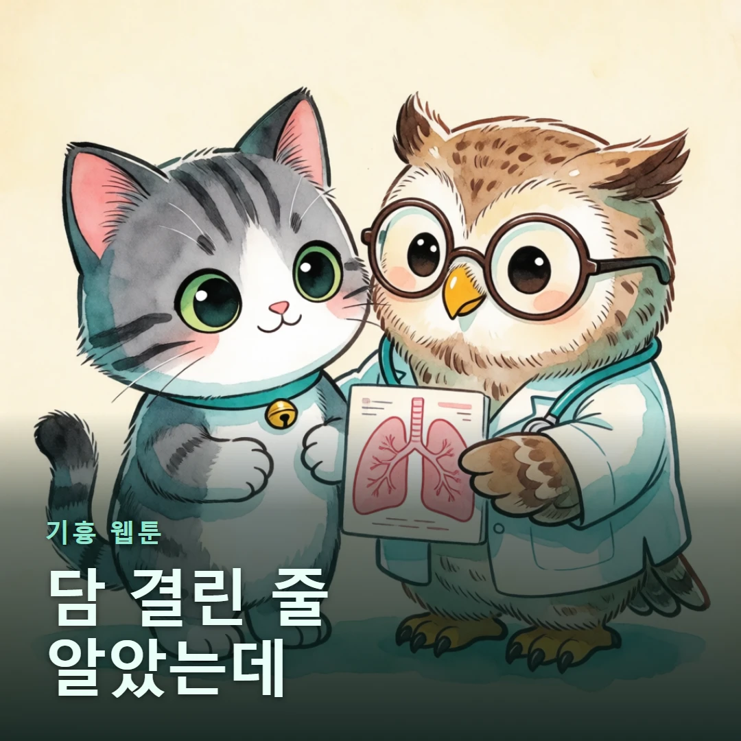 기흉 웹툰 표지 — 담 결린 줄 알았는데