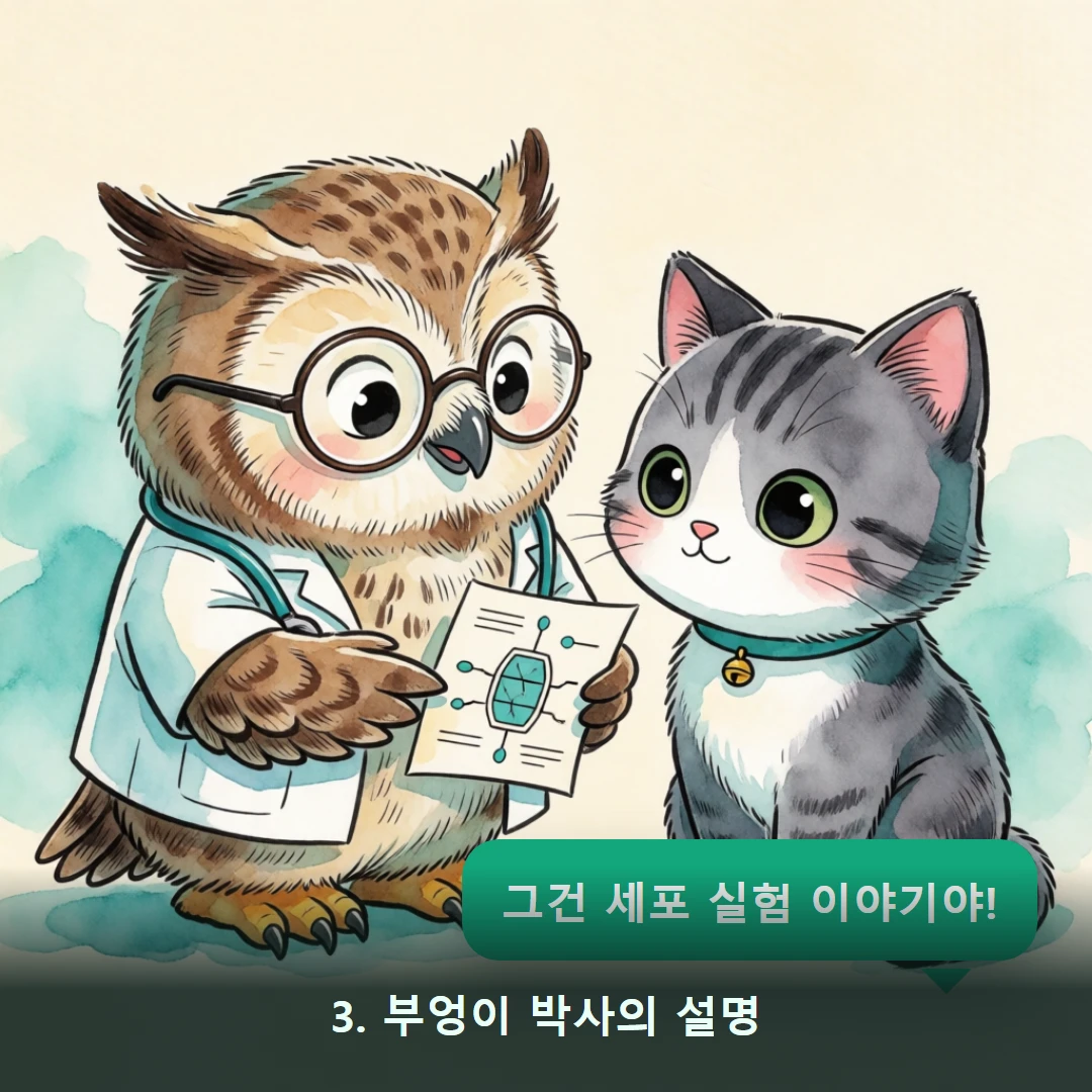 웹툰 3컷 — 3. 부엉이 박사의 설명 (그건 세포 실험 이야기야!)