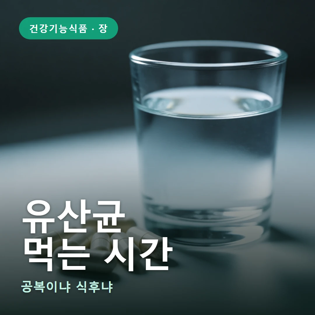 유산균 먹는 시간 요약 표지 — 공복이냐 식후냐