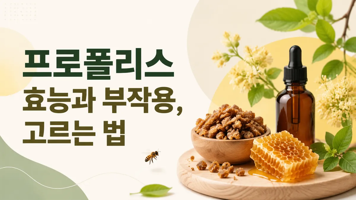 프로폴리스 효능과 부작용, 근거와 알레르기 주의점