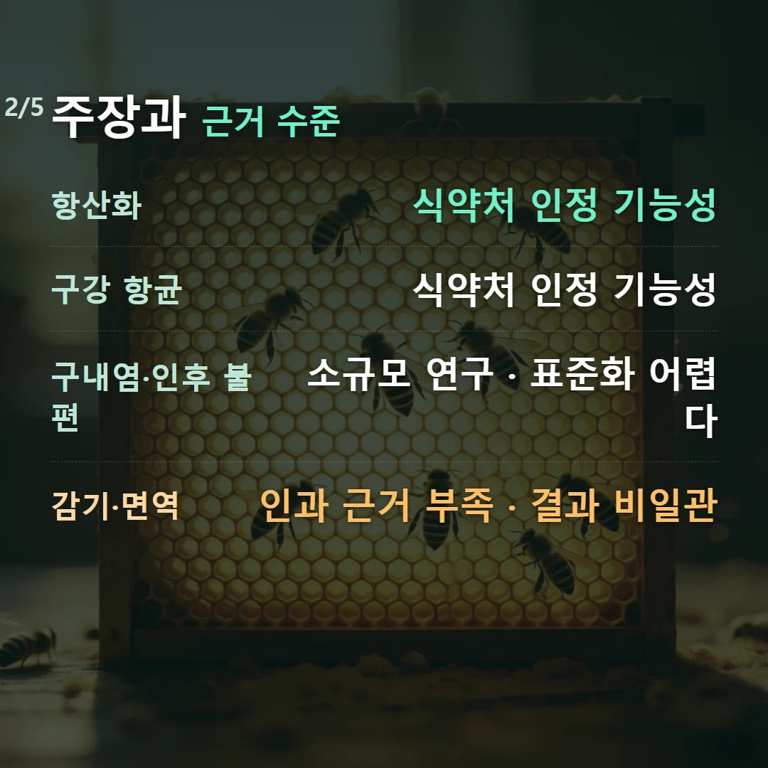 주장과 근거 수준 — 항산화 식약처 인정 기능성, 구강 항균 식약처 인정 기능성, 구내염·인후 불편 소규모 연구 · 표준화 어렵다, 감기·면역 인과 근거 부족 · 결과 비일관
