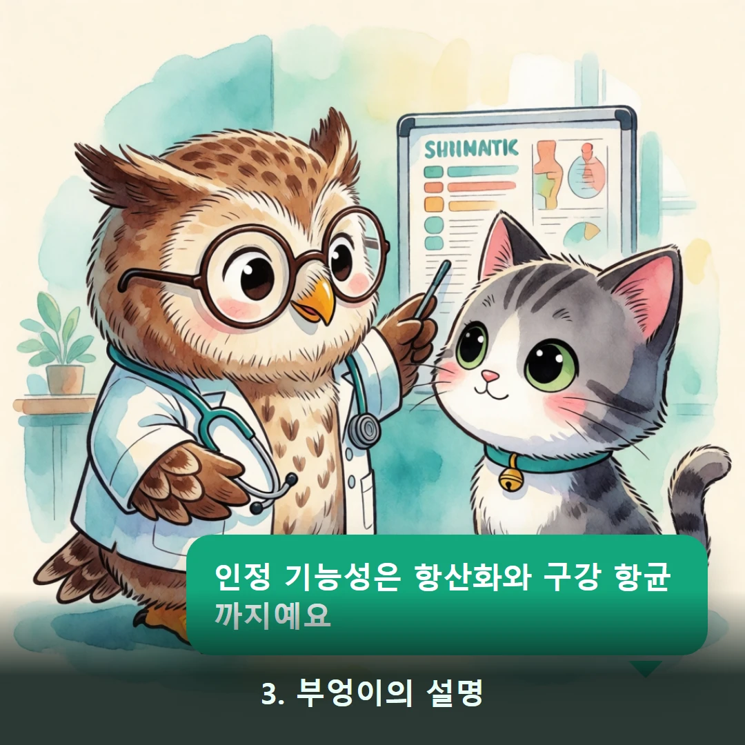 웹툰 3컷 — 3. 부엉이의 설명 (인정 기능성은 항산화와 구강 항균까지예요)