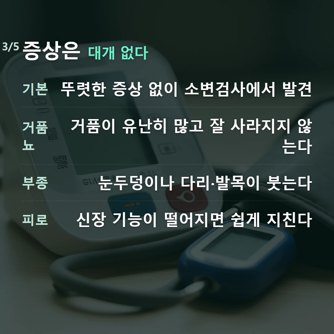 증상은 대개 없다 — 기본 뚜렷한 증상 없이 소변검사에서 발견, 거품뇨 거품이 유난히 많고 잘 사라지지 않는다, 부종 눈두덩이나 다리·발목이 붓는다, 피로 신장 기능이 떨어지면 쉽게 지친다